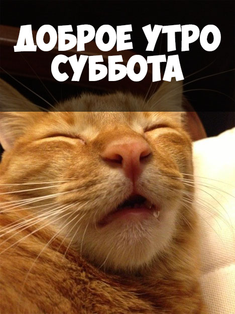 Картинка ,открытка доброе утро субботы, с добрым утром субботы Открытки ,картинки с пожеланиями доброго утра субботы,субботнее утро,открытка суббота доброе утро,картинка,открытка доброе утро субботы,суббота скачать бесплатно