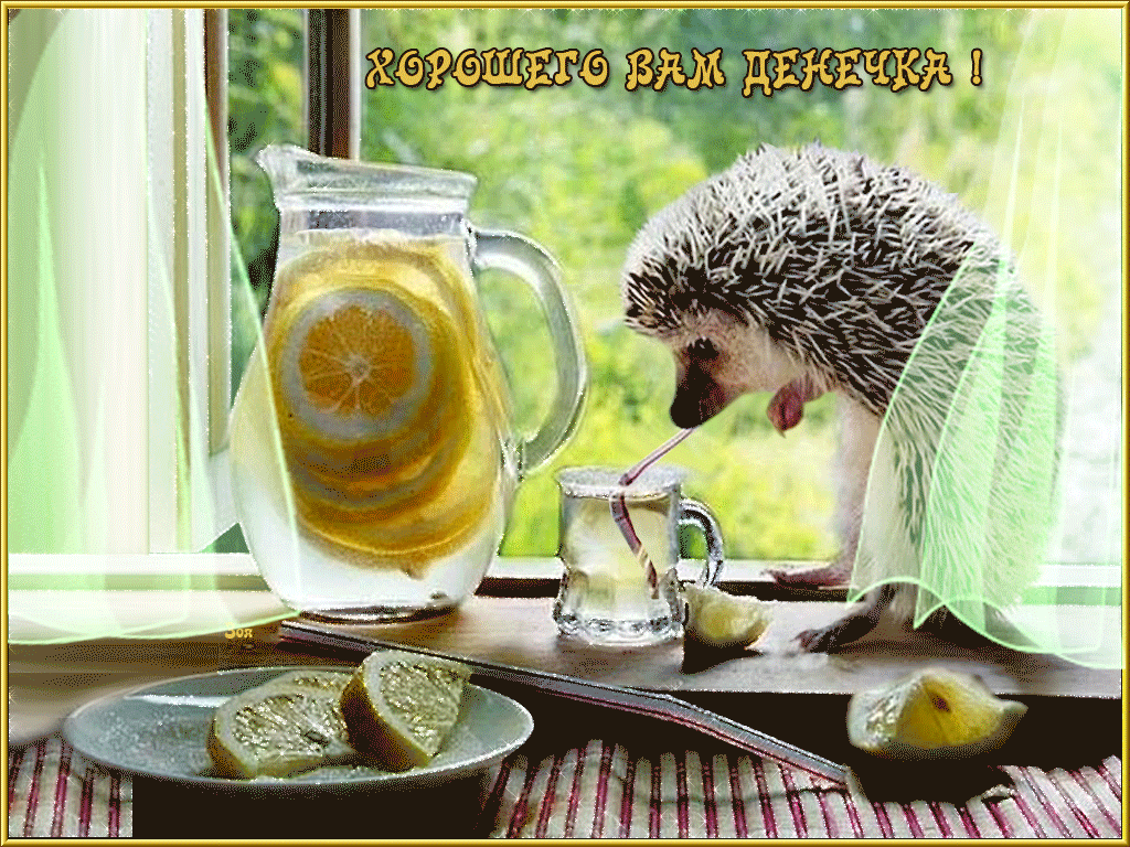 Открытка хорошего дня ,пожелания хорошего дня ,открытки хорошего дня. Картинка открытка с пожеланиями хорошего дня ,добрые пожелания хорошего дня , открытки хорошего дня ,картинки пожелать хорошего дня , открытка хорошего дня скачать бесплатно