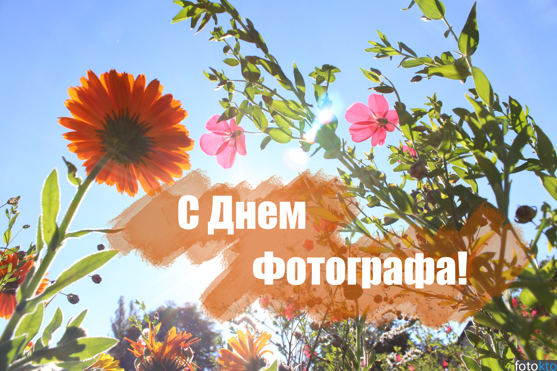 Открытка профессиональный праздник день фотографа ,с днём фотографа  Картинка открытка с профессиональным праздником день фотографа , открытки на день фотографа,день фотографа картинки,открытки с праздником день фотографа скачать бесплатно