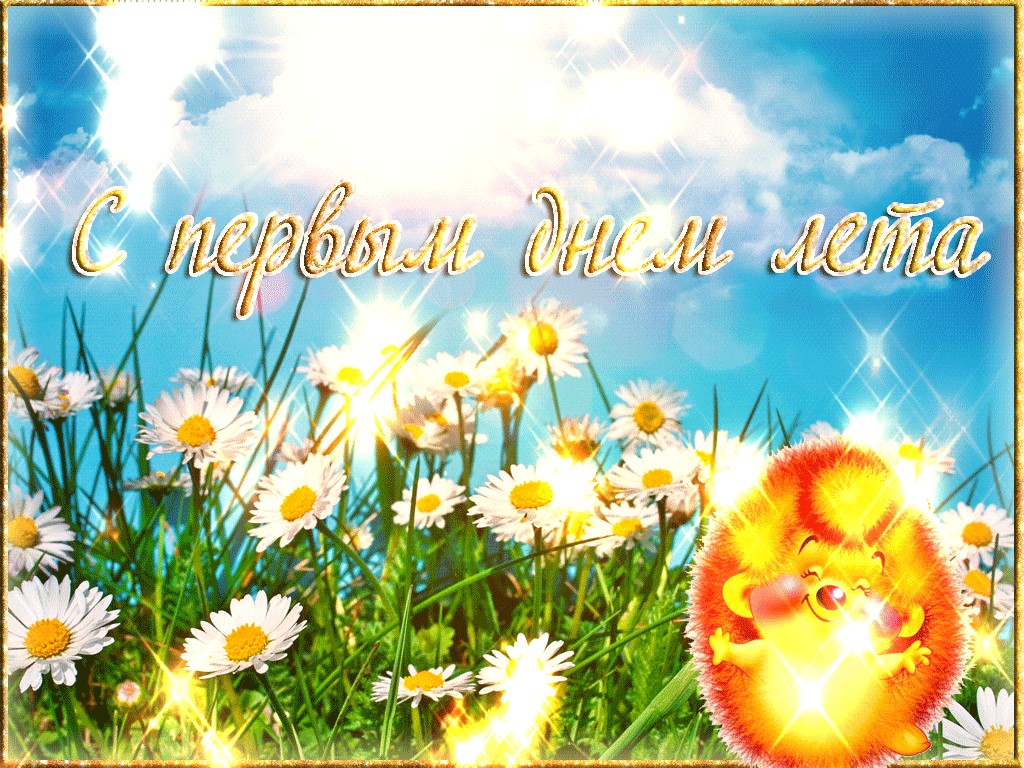 Открытка первый день лета , начало лета поздравления ,ёжик . Открытка картинка первый день лета , начало лета , яркая открытка с ёжиком первый день лета , картинки красивые на первый день лета ,начало лета открытки скачать бесплатно