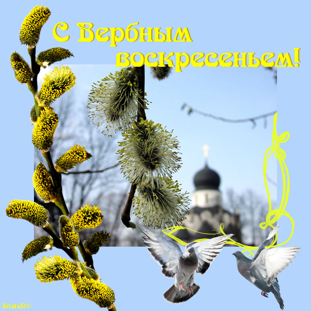Вербное воскресенье православный праздник , открытки с вербным. Вербное воскресенье православный праздник , картинки , открытки с изображением церкви на открытке , купола церковные , веснняя верба , веточки вербы , с вербным.
