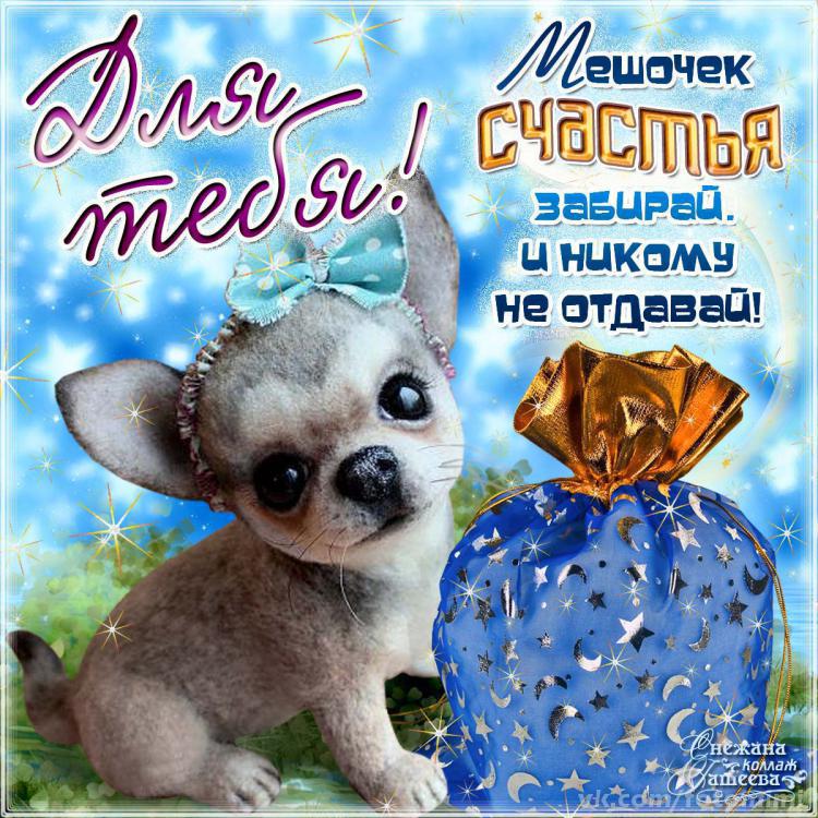 Международный день счастья , открытка с днём счастья , с собачкой. Картинка , открытка с днём счастья , международный день счастья , 20 марта всемирный день счастья , на открытке изображена собачка , щенок , красивая открытка с днём счастья.