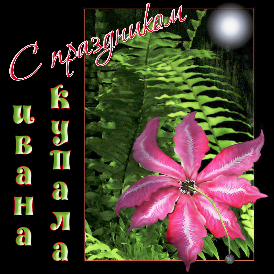 Открытка,картинка Иван Купала,поздравление с днём Ивана Купала. Открытка,открытки,картинка,картинки Иван Купала ,день Иван Купалы,открытка на день Ивана Купалы ,открытки с днём Ивана Купалы,поздравление с днём Ивана Купалы скачать бесплатно
