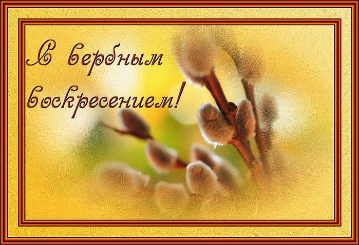 Вербное воскресенье православный праздник , открытка с вербой Вербное воскресенье православный праздник , открытка , картинка с изображением на открытке вербы , с вербным воскресеньем , вербы , красивые, весенние , пушистые вербы