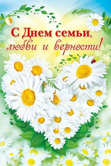 Открытка с праздником международный день семьи , с цветами ромашками . Открытка , картинка с международным праздником день семьи , на открытке красивый цветок ромашка символ праздника летний цветок,он олицетворяет чистоту,верность и нежность.