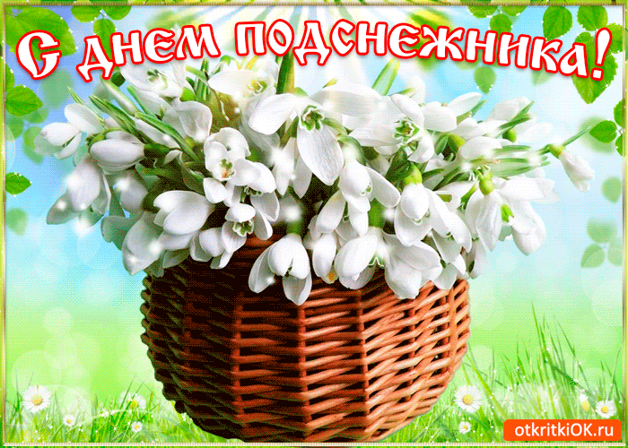 Открытка гиф с праздником день подснежника , мерцающая открытка с подснежниками Открытка гиф с всемирным праздником день подснежника , перевод с английского день первоцвета отмечается 19 апреля подснежник символ надежды, отмечается во многих странах мира.