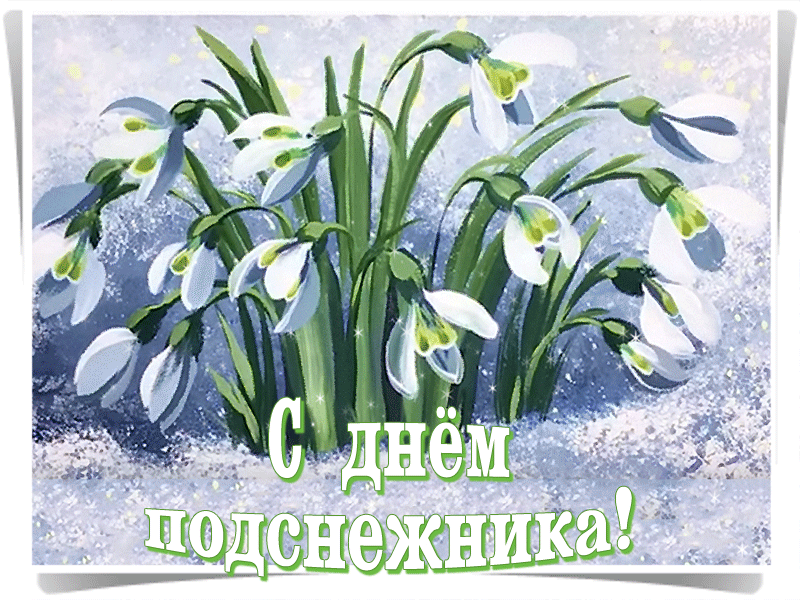 Открытка гиф с праздником день подснежника , мерцающая открытка с подснежниками Открытка гиф с всемирным праздником день подснежника , перевод с английского день первоцвета отмечается 19 апреля подснежник символ надежды, отмечается во многих странах мира.