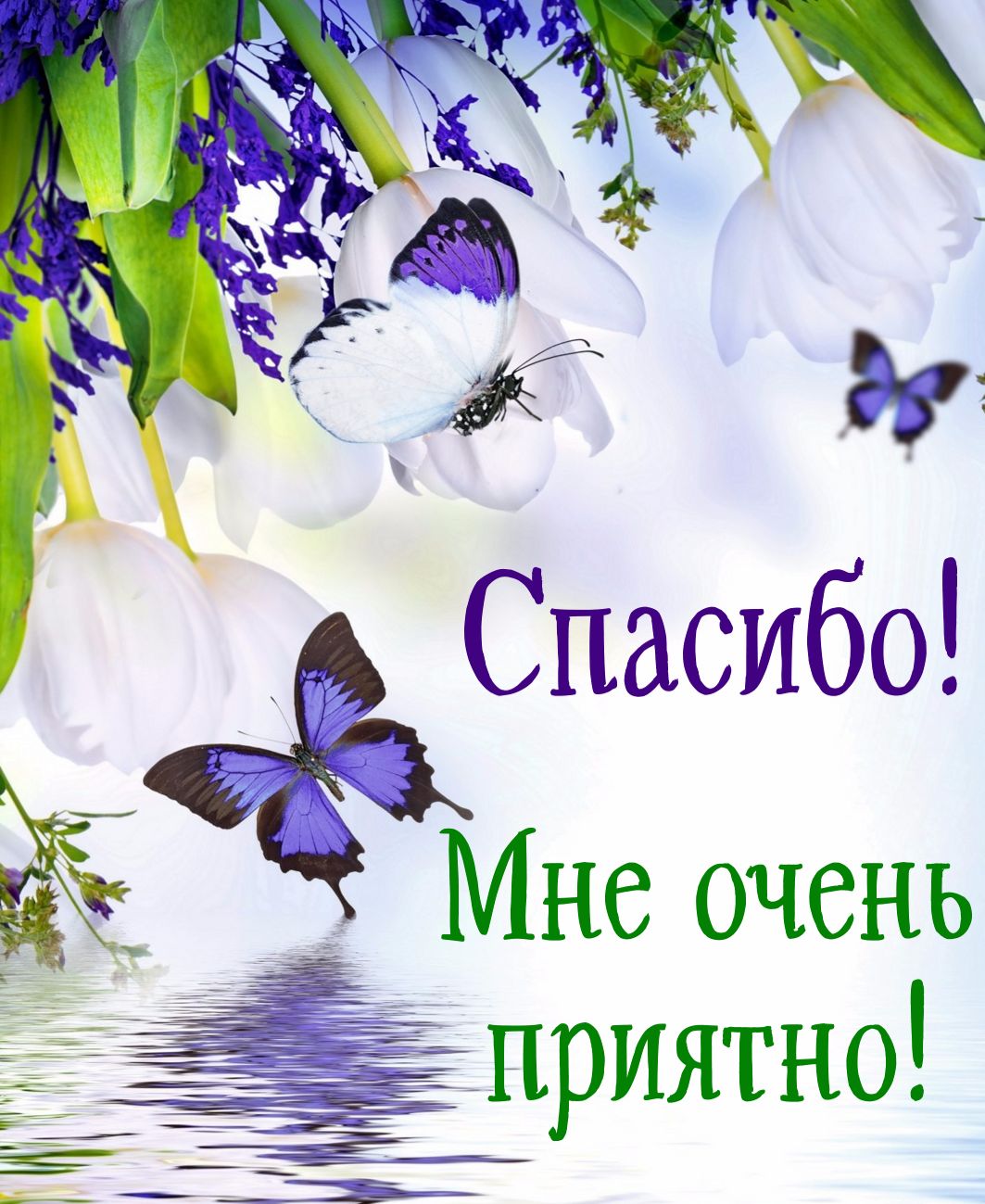 Открытка со словом благодарности спасибо,открытка спасибо ,цветы. Картинка,открытка со словом спасибо , спасибо открытка,красивые цветы,открытки со словом спасибо, картинка с надписью спасибо,с цветами,яркая,красивая открытка спасибо.