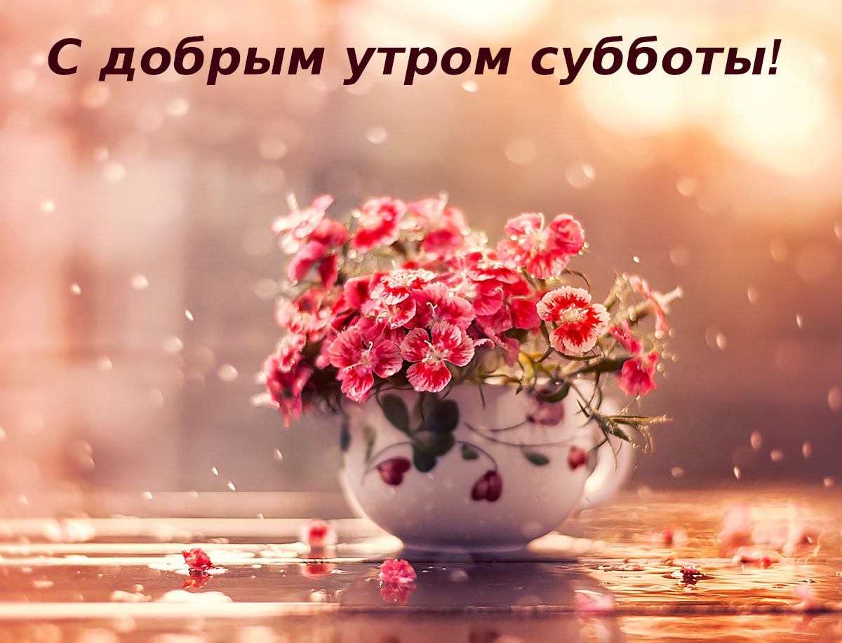 Картинка ,открытка доброе утро субботы, с добрым утром субботы Открытки ,картинки с пожеланиями доброго утра субботы,субботнее утро,открытка суббота доброе утро,картинка,открытка доброе утро субботы,суббота скачать бесплатно