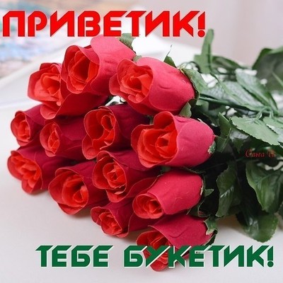 Открытка привет, приветик , открытки приветствие , красивые цветы. Картинка , открытка привет , приветик, на открытке красивые цветы , картинки со словом привет, открытки со словом , надписью привет , приветик , яркие открытки привет , приветик.