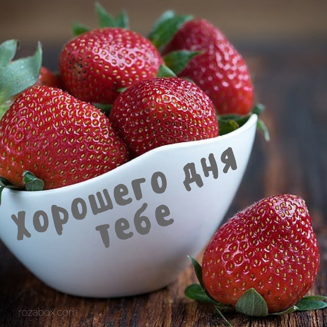 Открытка хорошего дня ,пожелания хорошего дня ,открытки хорошего дня. Картинка открытка с пожеланиями хорошего дня ,добрые пожелания хорошего дня , открытки хорошего дня ,картинки пожелать хорошего дня , открытка хорошего дня скачать бесплатно