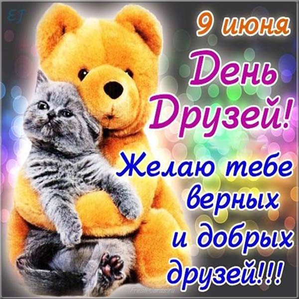 Открытки,картинки с днём друзей,с праздником день друзей 9 июня,мишка,котик. Картинка,открытка с праздником день друзеё,открытки надень друзей,9 июня день друзей,картинки с днём друзей ,открытка международный день друзей скачать бесплатно