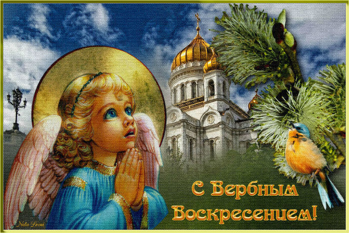 Вербное воскресенье православный праздник , открытка , ангел Вербное воскресенье православный праздник , картинка , открытка с изображение на открытке  ангелочка , весенняя верба , яркая открытка с вербным воскресеньем . 