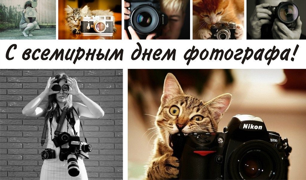 Открытка профессиональный праздник день фотографа ,с днём фотографа  Картинка открытка с профессиональным праздником день фотографа , открытки на день фотографа,день фотографа картинки,открытки с праздником день фотографа скачать бесплатно