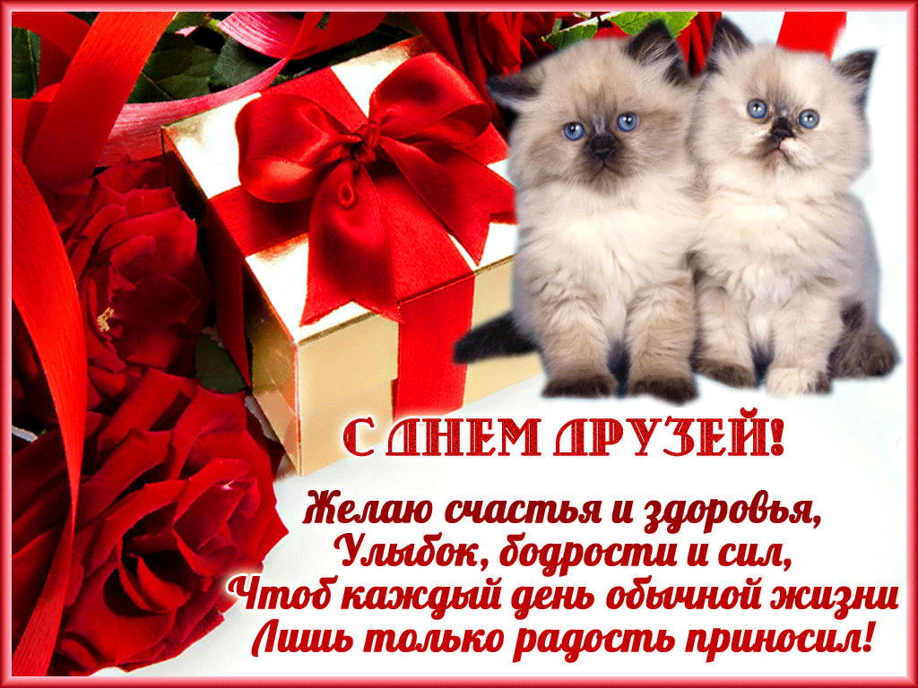 Открытки гиф с праздником день друзей,картинки гиф с днём друзей,котята. Картинк,открытки гиф с днём дружбы,открытка гиф с международным днём дружбы,мерцающая открытка на день дружбы,анимированная открытка,картинка с днём дружбы скачать бесплатно