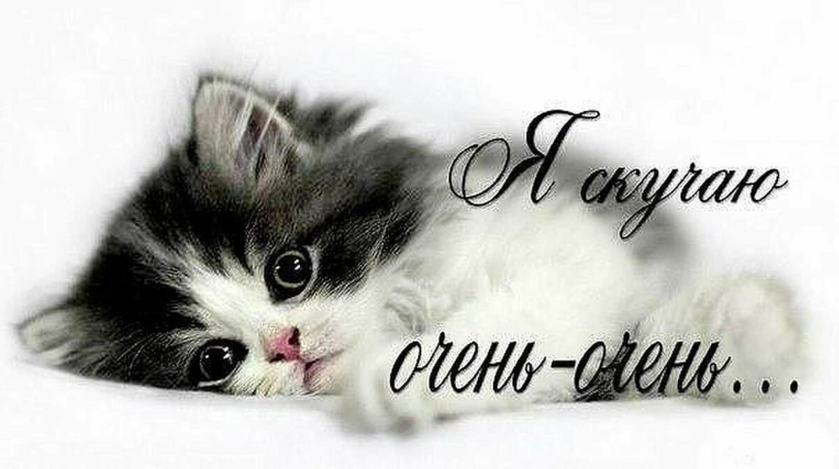 Открытка скучаю,  я скучаю,открытка ,картинка скучаю , я очень скучаю Картинка, открытка скучаю , очень скучаю , открытки я скучаю, скучаю по тебе , картинки я соскучилась , очень скучаю, открытка скучаю очень ,я скучаю без тебя .
