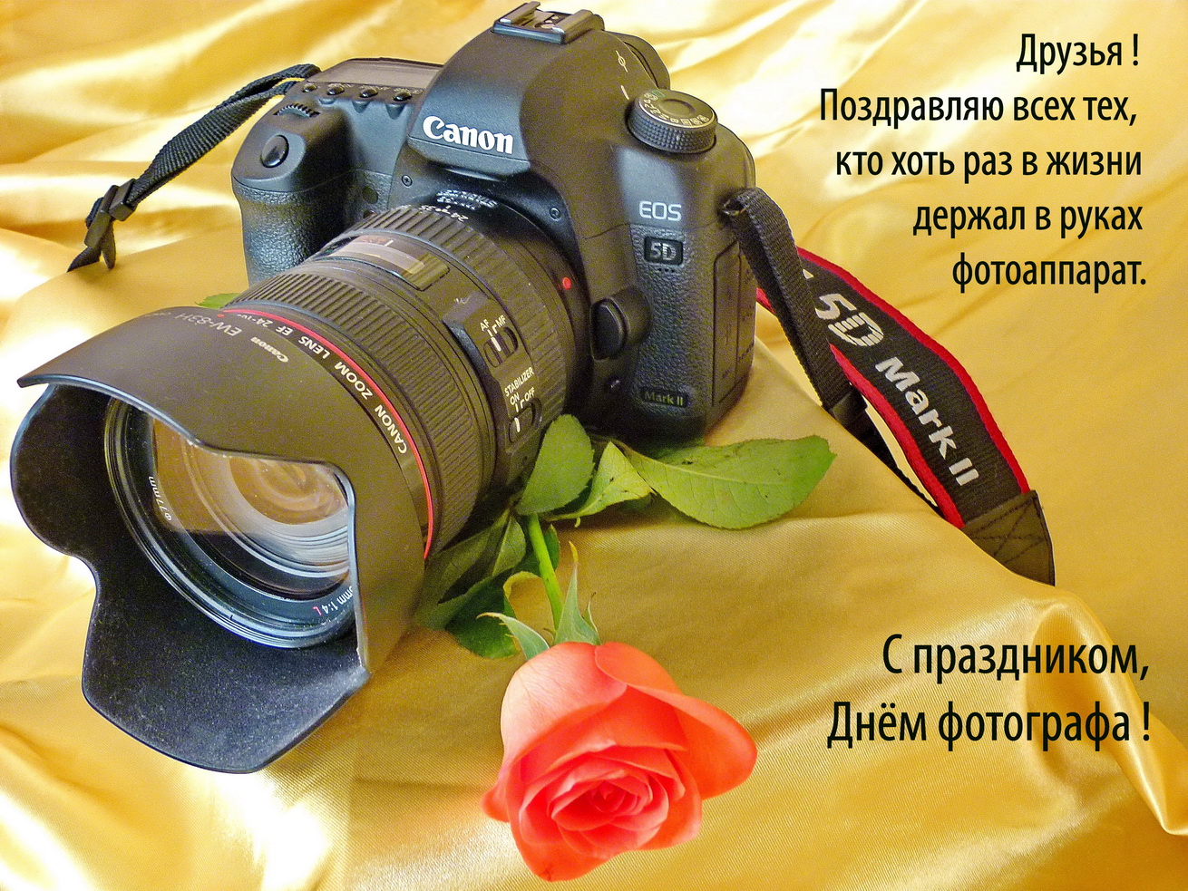 Открытка профессиональный праздник день фотографа ,с днём фотографа  Картинка открытка с профессиональным праздником день фотографа , открытки на день фотографа,день фотографа картинки,открытки с праздником день фотографа скачать бесплатно
