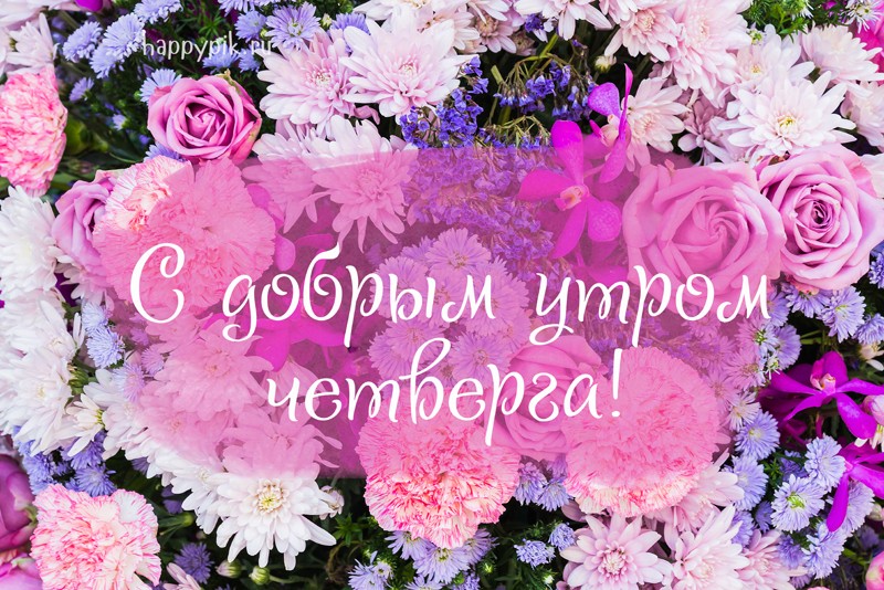 Картинка,открытка с пожеланиями доброго утра четверга , доброе утро четверг Картинки,открытки с добрым утром четверга, открытка пожелание доброго утра четверга ,красивая картинка с добрым утром четверг, четверг доброе утро скачать бесплатно.