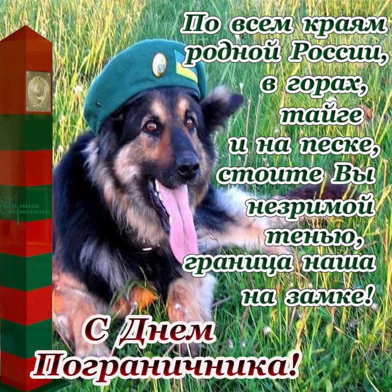 Открытка с профессиональным праздником день пограничника,с днём пограничника Картинка,открытка с праздником день пограничника,открытки на день пограничника,картинки профессиональный праздник день пограничника,открытка с днём пограничника.