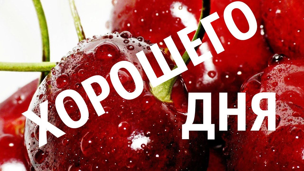 Открытка хорошего дня ,пожелания хорошего дня ,открытки хорошего дня. Картинка открытка с пожеланиями хорошего дня ,добрые пожелания хорошего дня , открытки хорошего дня ,картинки пожелать хорошего дня , открытка хорошего дня скачать бесплатно