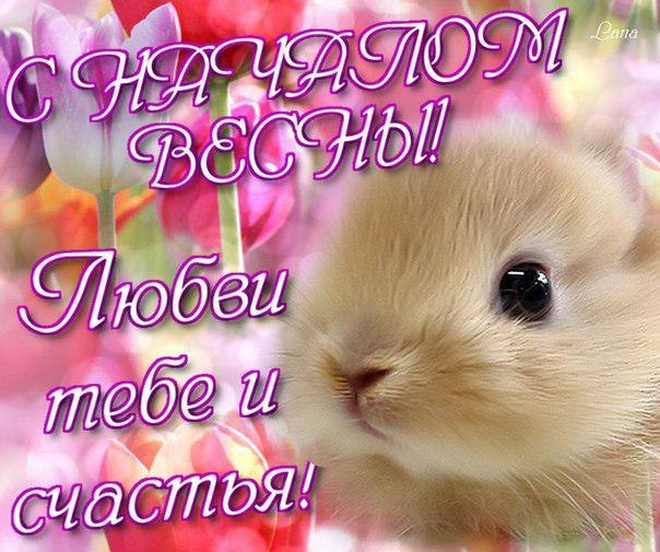 Открытка первый день весны ,открытки с первым днём весны 1 марта,кролик. картинка открытка с первым днём весны 1 марта,открытки с весной,картинки первый весенний день,открытка первый день весны,картинка на 1 марта с весной скачать бесплатно.