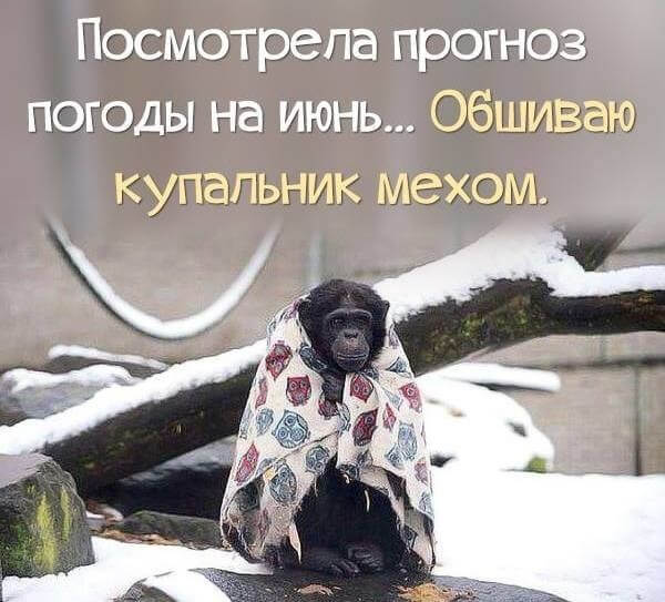 прикольные отклытки на тему погоды , смешные открытки про погоду,разные. прикольные открытки про погоду , смешные открытки про погоду , юмористические картинки на тему погоды , разные , вызывающие смех , со смешным текстом , на любую тему погоды