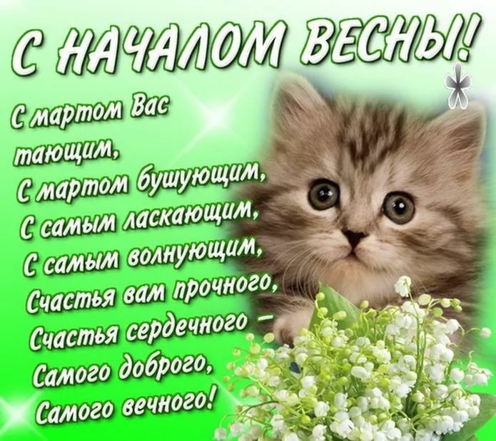 Открытка первый день весны ,открытки с первым днём весны 1 марта,котёнок картинка открытка с первым днём весны 1 марта,открытки с весной,картинки первый весенний день,открытка первый день весны,картинка на 1 марта с весной скачать бесплатно.