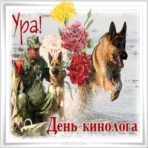 Открытка с профессиональным праздником день кинолога,с днём кинолога Открытка,картинка с праздником день кинолога,открытки на день кинолога,картинки с днём кинолога,поздравления с днём кинолога,праздник день кинолога открытки .  