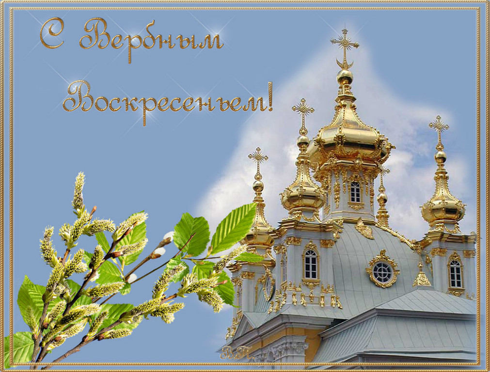 Вербное воскресенье православный праздник , открытки с вербным. Вербное воскресенье православный праздник , картинки , открытки с изображением церкви на открытке , купола церковные , веснняя верба , веточки вербы , с вербным.