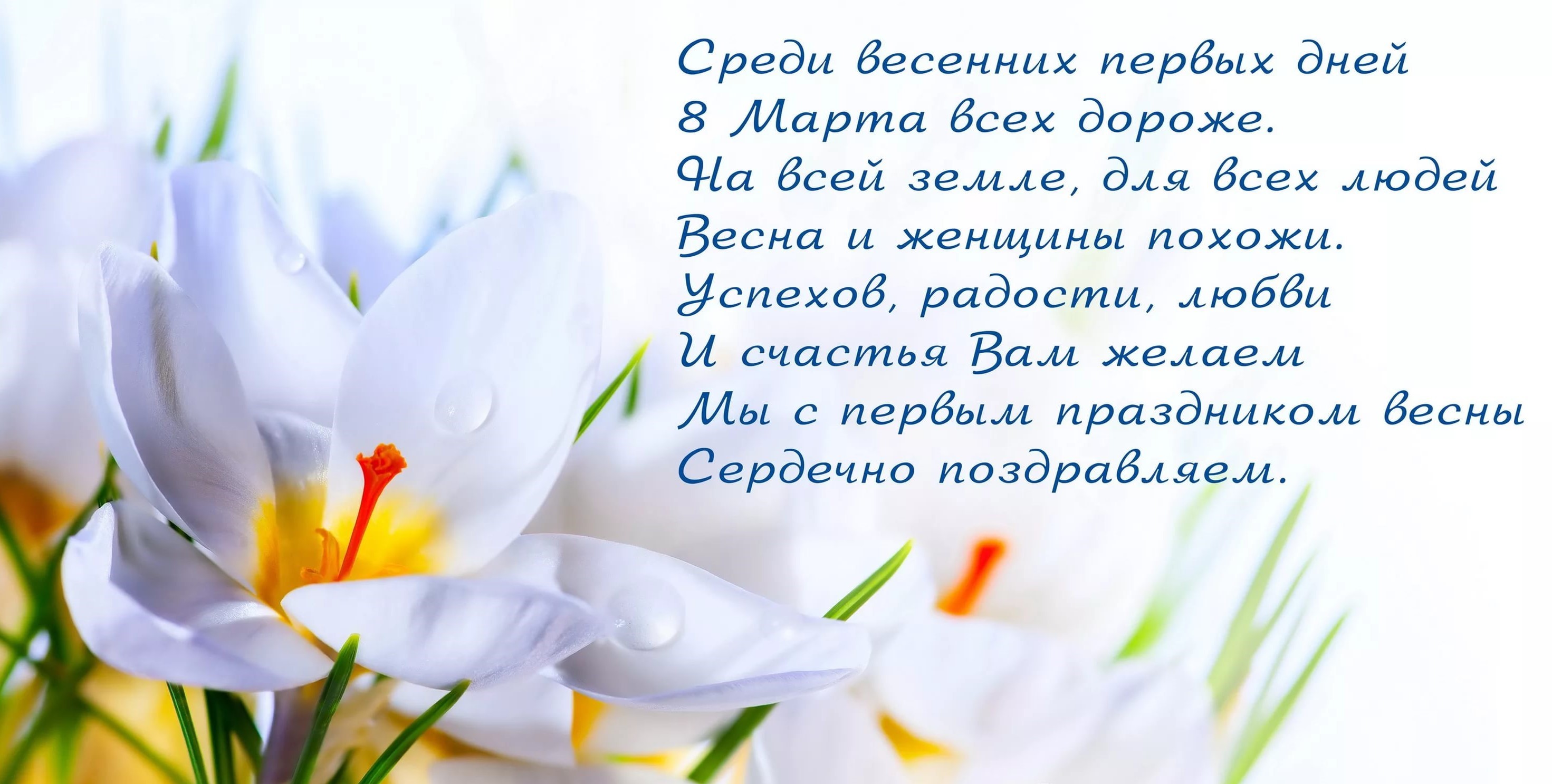 8 марта международный женский день окрытки с поздравлениями в стихах 8 марта международный женский день красивые открытки с цветами со стихами посвещённые празднику 8 марта для женщин с добрыми пожеланиями с атмосферой праздника 