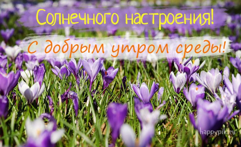 Открытки,картинки доброе утро среды,доброе утро среда, среда утро доброе Картинки,открытки доброе утро среды,открытка доброе утро среда, картинка среда доброе утро, пожелания доброго утра среда , с добрым утром среда  открытки скачать