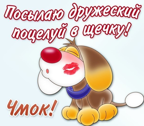 Всемирный день поцелуя , открытка к празднику день поцелуя . Открытка , картинка с праздником всемирный день поцелуя , поцелуй , любовь , 6 июля день поцелуя , на открытке изображена собака , собачка , пёсик , чмок , поцелуйчик.