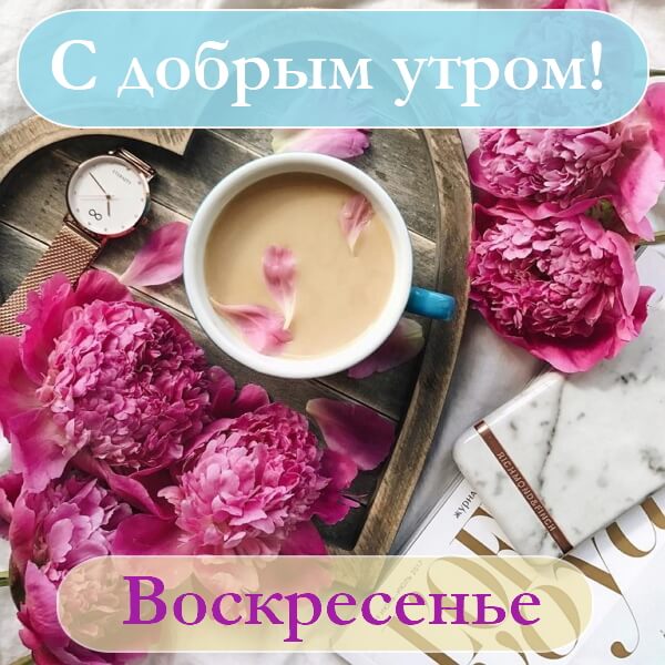 Открытка,картинка с добрым утром воскресенья,доброе утро воскресенье Картинка,открытка с пожеланиями доброго утра воскресенья,открытки с добрым утром воскресенье,картинки ,открытки доброе утро воскресенье,воскресенья скачать бесплатно