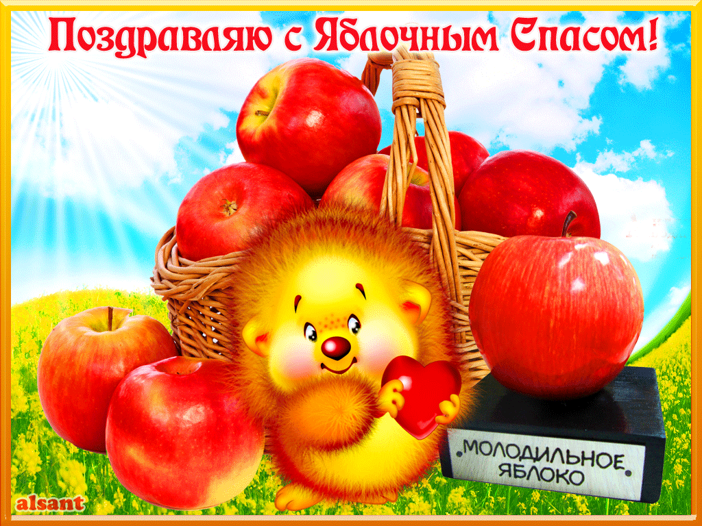 Яблочный спас народно христианский праздник , открытка гиф с ёжиком. Яблочный спас народно христианский праздник , картинка , открытка гиф , на открытке изображён ёжик , красные яблоки , мерцающая открытка с яблочным спасом , ёж .