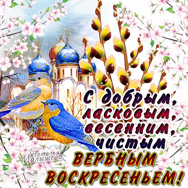 Вербное воскресенье православный праздник , открытки с вербным. Вербное воскресенье православный праздник , картинки , открытки с изображением церкви на открытке , купола церковные , веснняя верба , веточки вербы , с вербным.