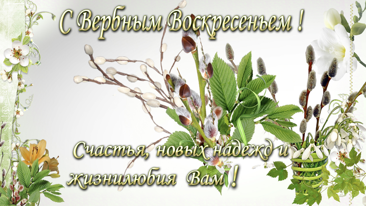 Вербное воскресенье православный праздник , открытка с вербным Вербное воскресенье православный праздник , картинка , открытка с изображением красивых весенних цветов , красивая весенняя верба , яркая открытка с вербным воскресеньем.