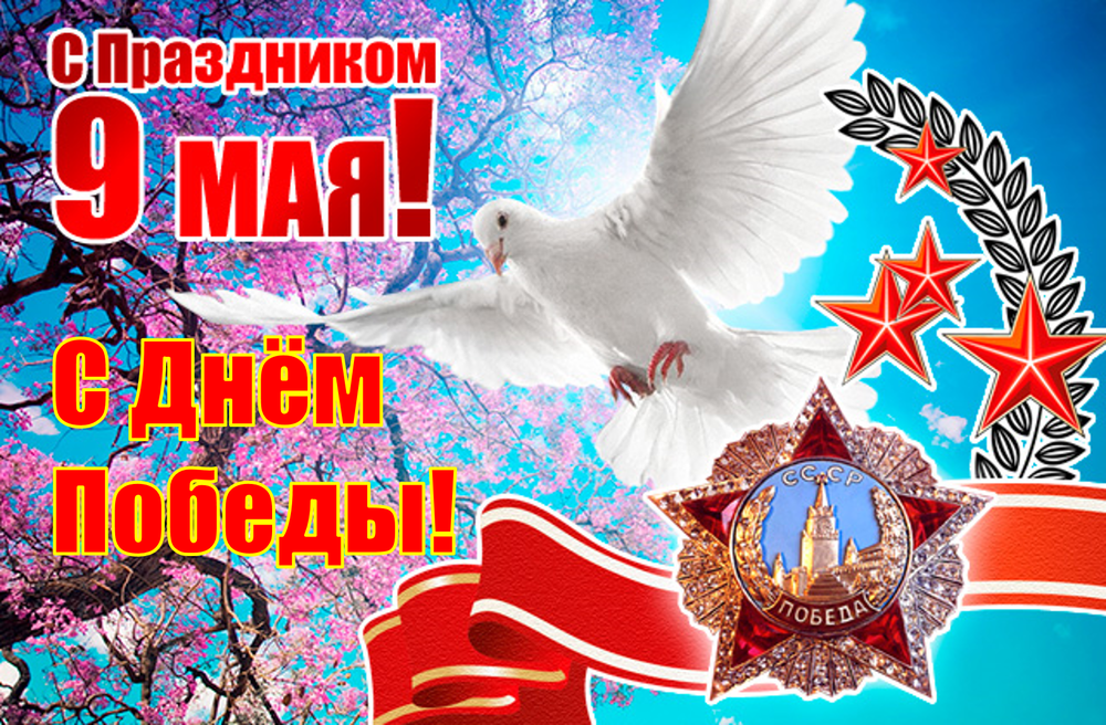 9 мая день победы , открытки с праздником победы , с голубями. 9 мая день победы , открытки , картинки с праздником победы ,с изображением на картинке голубей , чистого неба над головой , белый голубь ,голубь летит, с днём победы .