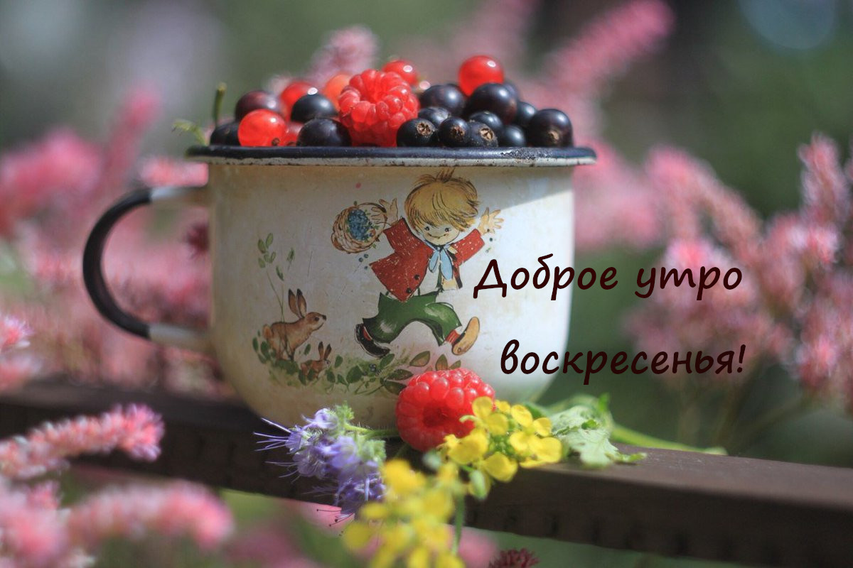 Открытка,картинка с добрым утром воскресенья,доброе утро воскресенье Картинка,открытка с пожеланиями доброго утра воскресенья,открытки с добрым утром воскресенье,картинки ,открытки доброе утро воскресенье,воскресенья скачать бесплатно