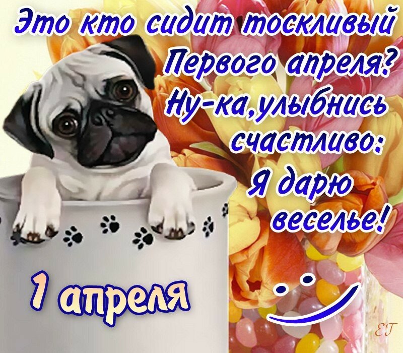 Открытка день смеха , с праздником первое апреля , с собачкой. Картинка , открытка с всемирным праздником шуток день смеха , день юмора , первое апреля ,  на открытке изображена собака , собачка озорная , смешная собачка . 