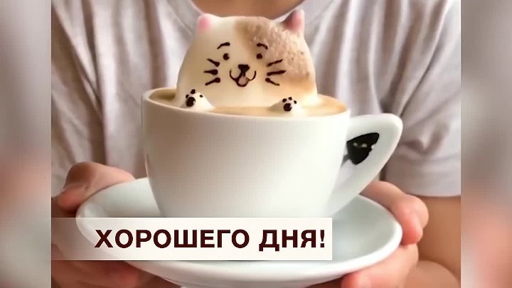 открытки с пожеланиями доброго дня хорошего дня хорошего настроения  открытки с пожеланием доброго дня отличного настроения на весь день хорошего настроения много пазитива прикольные открытки с пожеланиями прекрасного дня смешные 