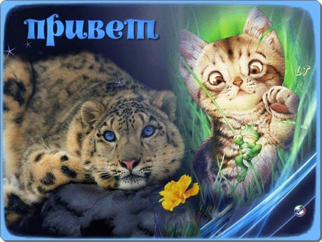 Открытка гиф прикольная привет , приветик, мерцающая открытка привет. Открытка , картинка гиф прикольная со словом привет, мерцающие открытки привет , приветик , анимационная картинка привет , приветик , приветствие , открытка гиф красивая привет