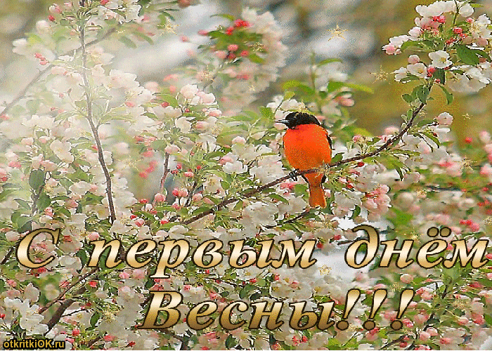 Открытка гиф с первым днём весны ,1 марта начало весны ,мерцающие открытки с весной Картинка ,открытка гиф с первым весенним днём 1 марта,мерцающая картинка с началомм весны,открытки анимированные первый день весны ,март весна пришла, весенний первый денёк 1 марта