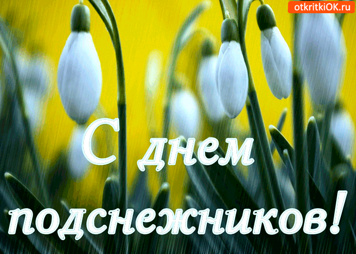 Открытка гиф с праздником день подснежника , мерцающая открытка с подснежниками Открытка гиф с всемирным праздником день подснежника , перевод с английского день первоцвета отмечается 19 апреля подснежник символ надежды, отмечается во многих странах мира.