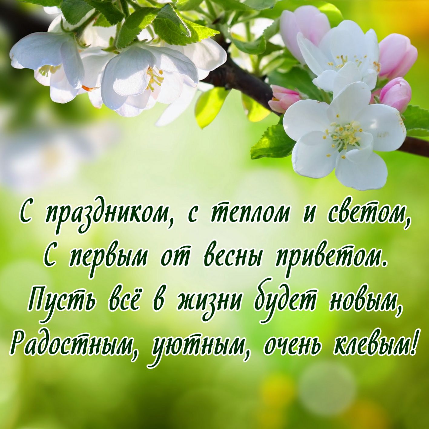 Открытка с первым днём весны 1 марта, открытки первый день весны,цветы Картинка открытка с началом весны,весна,открытки с весной,картинки с первым днём весны ,открытка на 1 марта первый весенний день ,открытки на первый день весны.