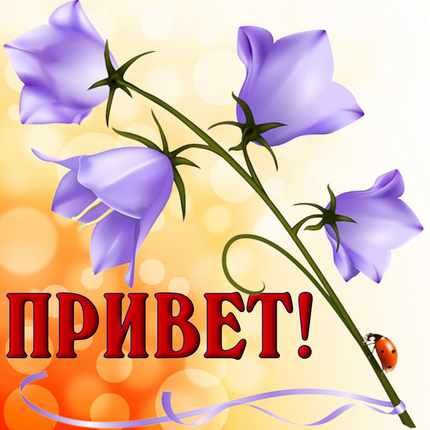 Открытка привет, приветик , открытки приветствие , красивые цветы. Картинка , открытка привет , приветик, на открытке красивые цветы , картинки со словом привет, открытки со словом , надписью привет , приветик , яркие открытки привет , приветик.