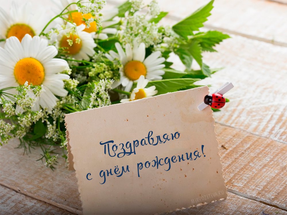 С днём рождения , открытки с поздравлениями с днём рождения яркие цветы С днём рождения , открытки , картинки с поздравлениями в день рождения , яркие цветы , с изображением ярких цветов на картинке с днём рождения, яркие краски , цветы