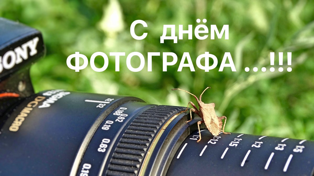 Открытка профессиональный праздник день фотографа ,с днём фотографа  Картинка открытка с профессиональным праздником день фотографа , открытки на день фотографа,день фотографа картинки,открытки с праздником день фотографа скачать бесплатно