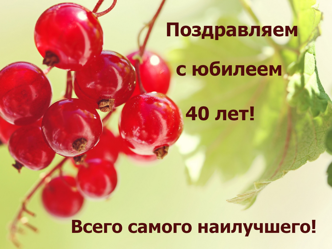 Открытки с юбилеем 40 лет,картинки с поздравлениями с юбилеем 40 лет Картинка,открытка с юбилеем 40 лет,смородина,открытки на юбилей 40 лет,картинки открытки с юбилеем на 40 лет,красивая открытка,картинка с юбилеем сорок лет скачать бесплатно.