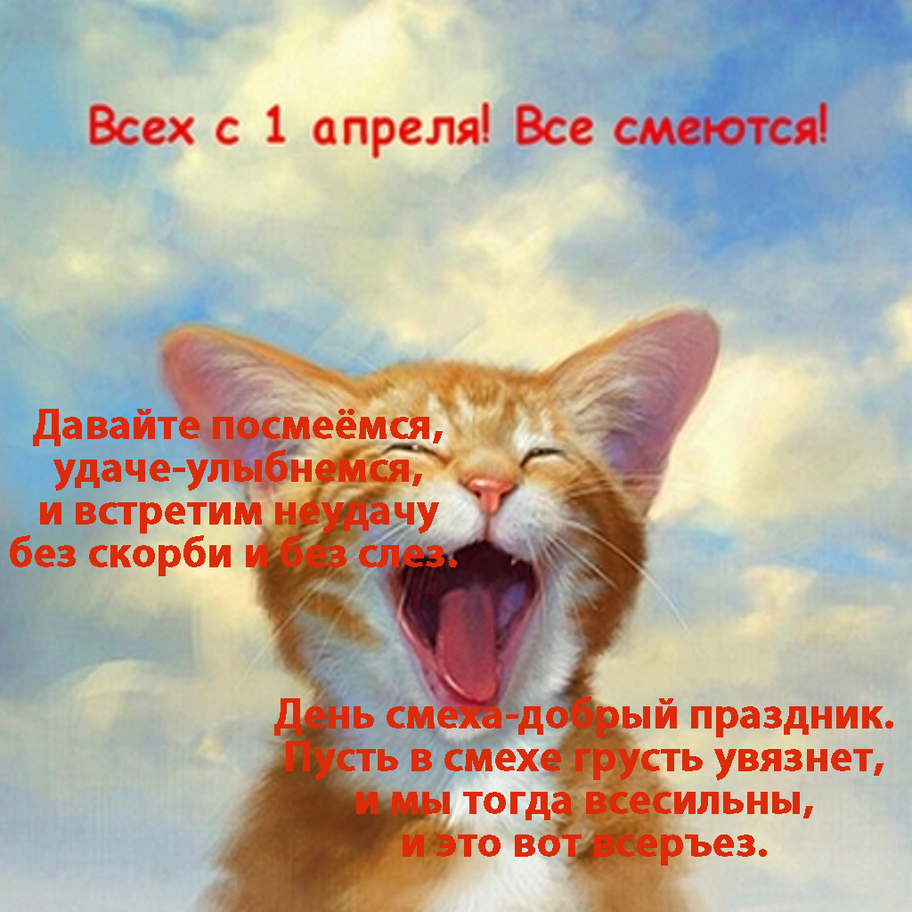 Открытка с праздником всемирный день смеха , открытка с котиком. Картинка , открытка с всемирным днём смеха , первое апреля , праздник шуток , веселья , во многих государствах и странах отмечают праздник подшучивая друг ,друга.