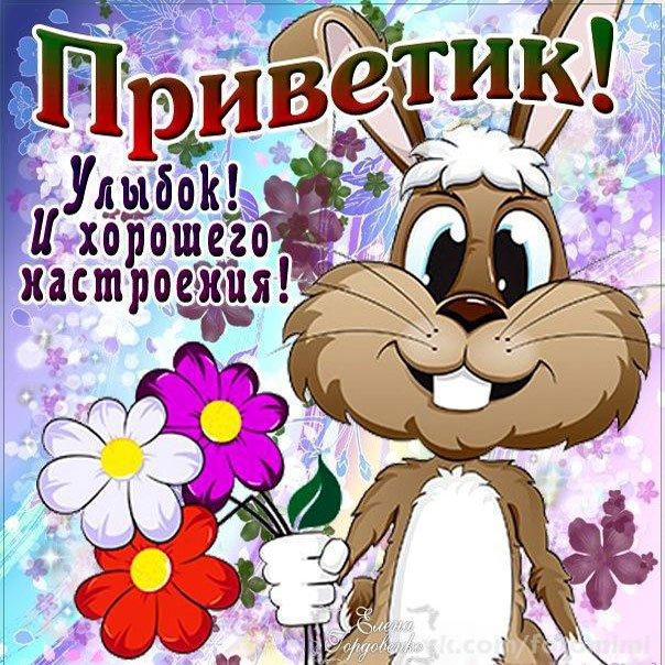 Открытки с надписью привет прикольные открытки привет,приветик,зайчик. Картинка ,открытка прикольная привет ,приветик ,открытки с надписью привет ,прветик ,картинки со словом привет ,приветик,открытка привет прикольная ,смешная.